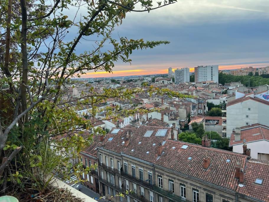 Rooftop Chaleureux Hyper-Centre Apartment Toulouse Bagian luar foto